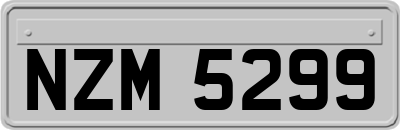 NZM5299