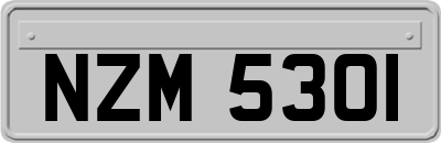 NZM5301