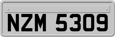 NZM5309