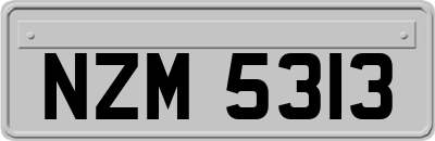 NZM5313