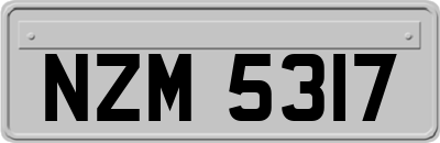 NZM5317
