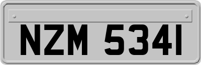 NZM5341