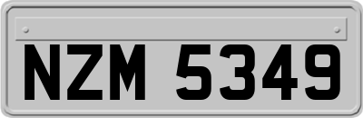 NZM5349