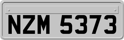NZM5373