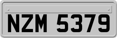 NZM5379