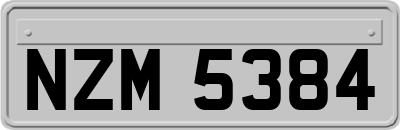 NZM5384