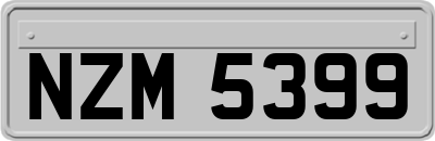 NZM5399