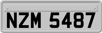 NZM5487
