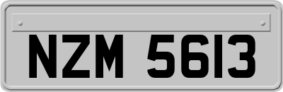 NZM5613
