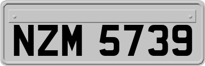 NZM5739