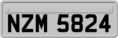 NZM5824