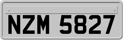 NZM5827