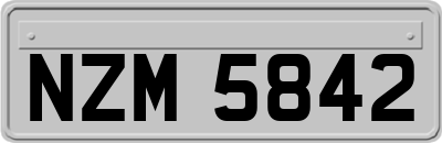 NZM5842