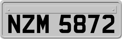 NZM5872