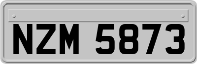 NZM5873