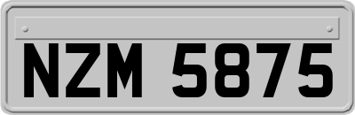 NZM5875