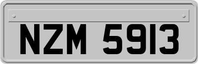 NZM5913
