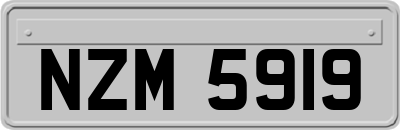 NZM5919