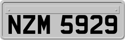 NZM5929