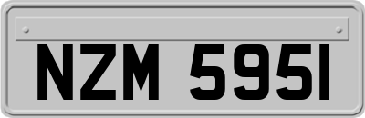 NZM5951