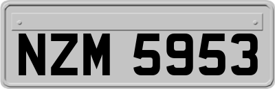 NZM5953