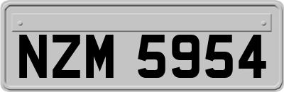 NZM5954