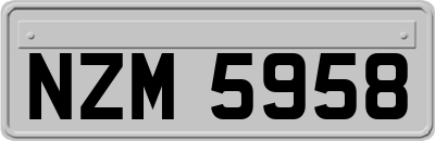 NZM5958