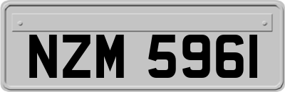 NZM5961