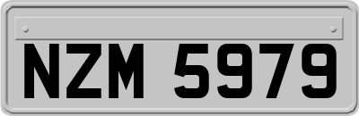 NZM5979