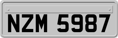 NZM5987