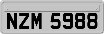 NZM5988