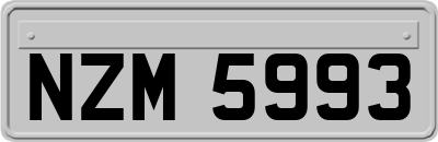 NZM5993