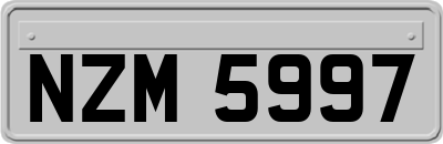 NZM5997