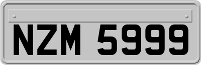 NZM5999