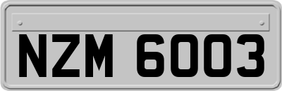 NZM6003