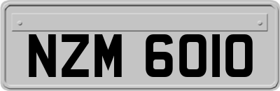 NZM6010