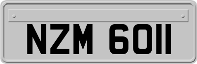NZM6011