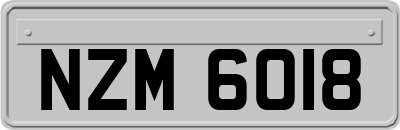 NZM6018