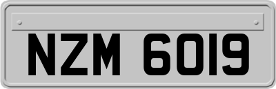 NZM6019