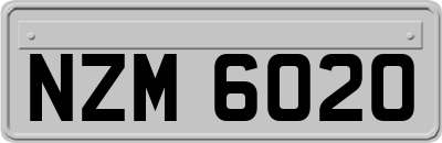NZM6020