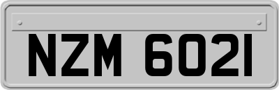 NZM6021