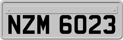 NZM6023