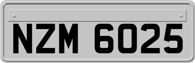 NZM6025