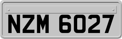 NZM6027
