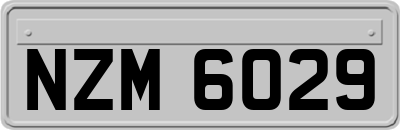 NZM6029