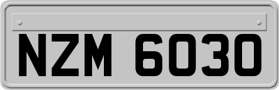NZM6030