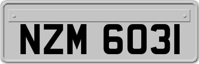 NZM6031