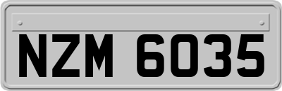 NZM6035