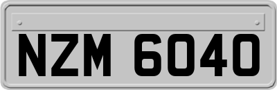 NZM6040