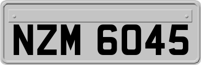 NZM6045